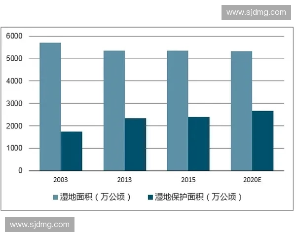 洞察欧洲顶级足球联赛竞争格局与未来趋势的深度全景解析研究篇章